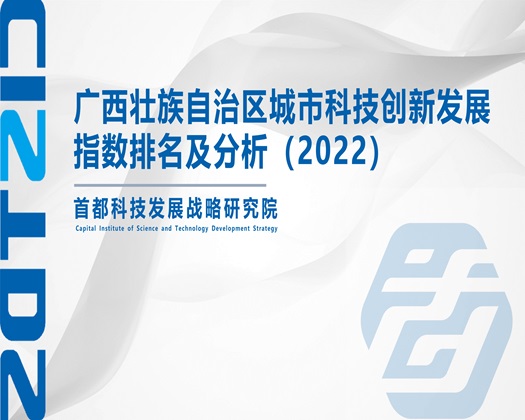 大型免费直播间操骚女骑操刺激网站大全【成果发布】广西壮族自治区城市科技创新发展指数排名及分析（2022）